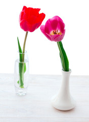 Bouquet of spring flower tulips. Easter