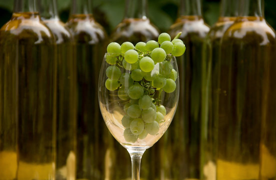 Vine Glass with Grapevine