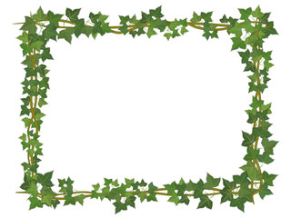 square decorative frame of ivy branches