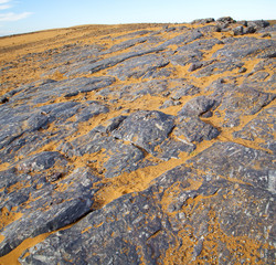 old fossil in  the desert of morocco sahara and rock  stone sky