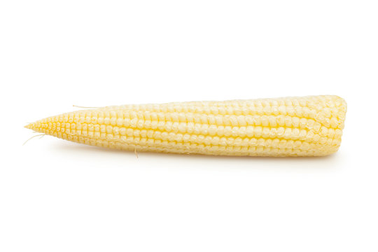 Baby Corn