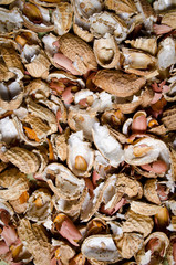 peanuts shell background texture - obrazy, fototapety, plakaty