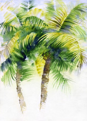 Watercolor painting with tropical palms