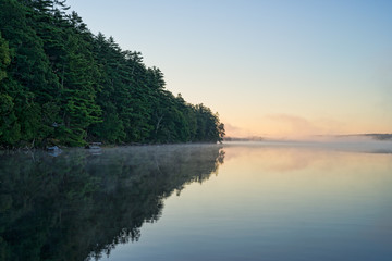 Reflected trees and mist at Toddy Pond, Maine