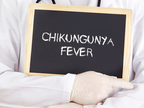 Doctor shows information on blackboard: Chikungunya fever