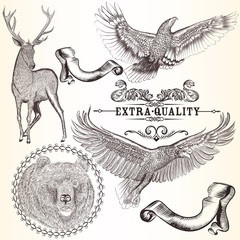 Obraz premium Collection of vector decorative animals for design
