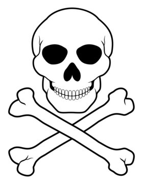 pirate skull and crossbones vector illustration