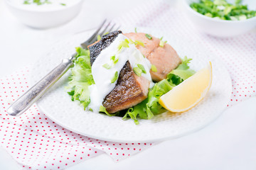 Grilled red fish fillet