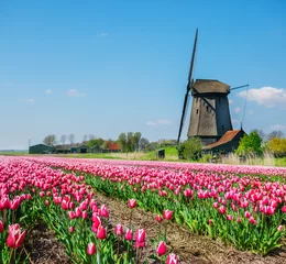 Foto op Plexiglas Dutch windmill and tulip field © 2xSamara.com