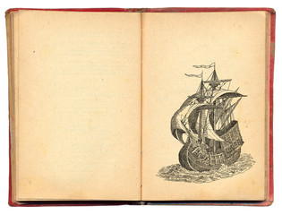 Pirate book - obrazy, fototapety, plakaty
