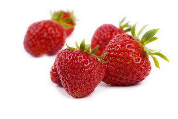 North American Strawberries