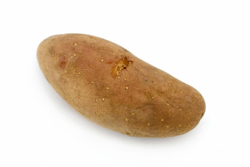 Potato