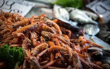 Pile fresh shrimp