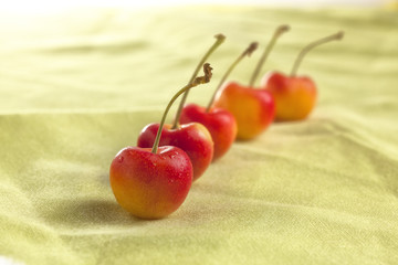 Rainer Cherries