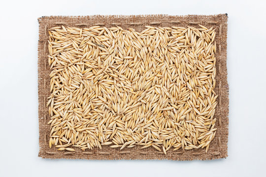 Frame of burlap and oats  grain