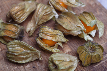 physalis