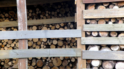 Brennholzlager © focus finder