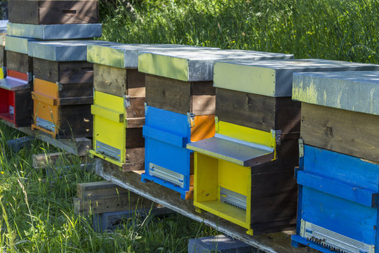 Beehives