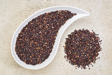 black quinoa grain grown in Bolivia