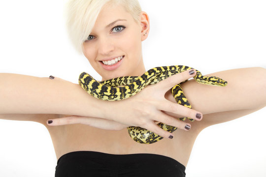 Schlange auf dem Arm