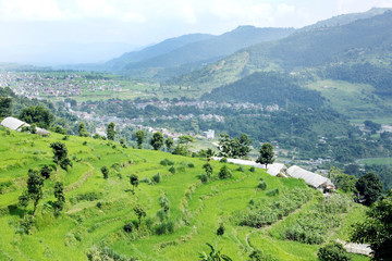 Fototapeta na wymiar Terrace farming in Pokhara valley