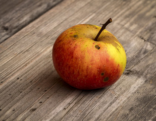 one apple