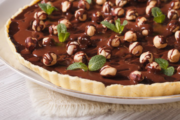 Chocolate tart with hazelnut and mint close-up. Horizontal