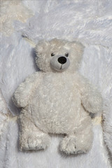 Teddybär Kuschtier