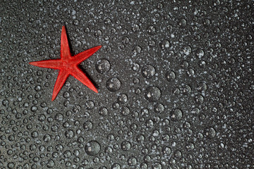 red Starfish on a marble surface © jecula