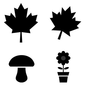 Plantes en 4 icônes