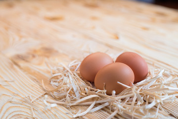 Simple nest with eggs