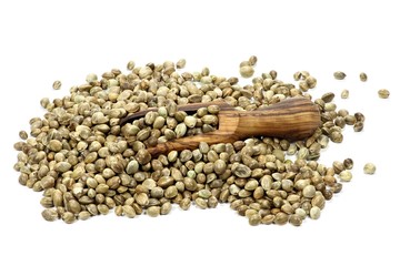 ungeschälte Hanfsamen mit Schippe aus Olivenholz isoliert auf weißem Hintergrund