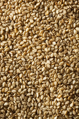 Raw Organic Sesame Seeds
