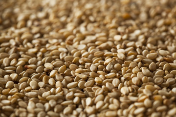 Raw Organic Sesame Seeds