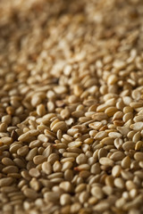 Raw Organic Sesame Seeds in a Bowl