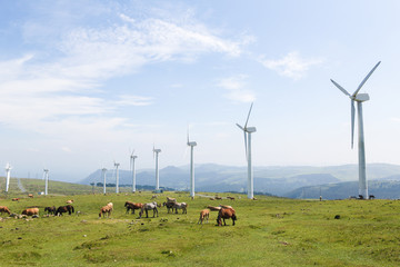 Wind turbines on a wind farm in Galicia, Spain - obrazy, fototapety, plakaty