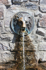 Street faucet with a lion head