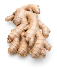 Fresh ginger root or rhizome isolated on white background cutout