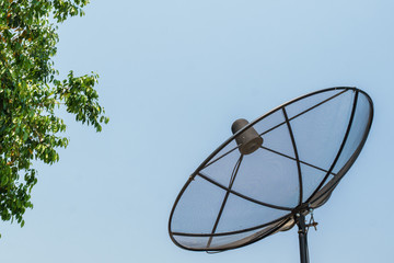 Satellite dish with tree and blue sky