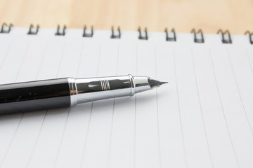 Fountain pen in a notebook