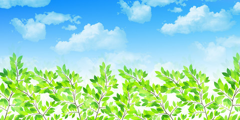 葉　新緑　背景