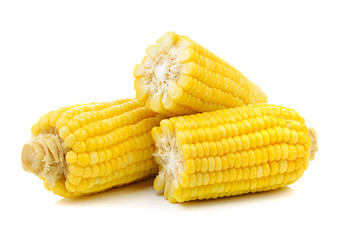corn on white background