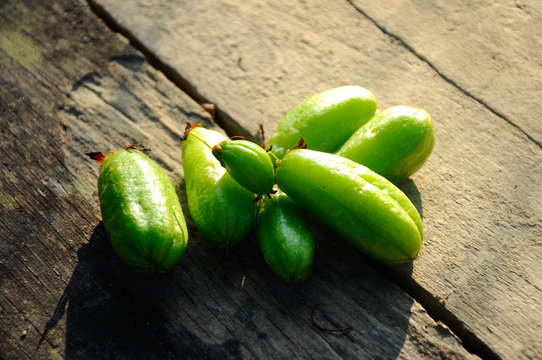 Averrhoa bilimbi of Belimbing Buluh