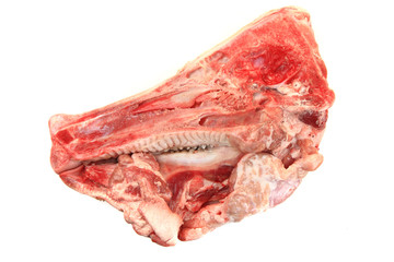 raw pig head isolated