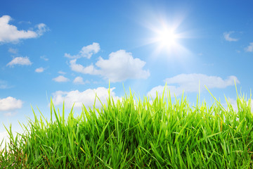 Obraz premium Sommer