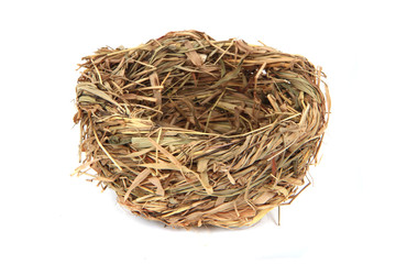 empty nest isolated