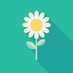 Spring background template. White flower cartoon drawing. Icon
