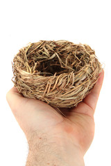 empty nest isolated