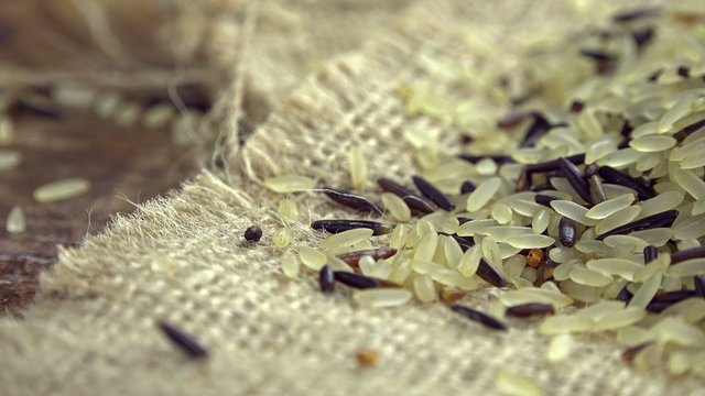 Raw mixed Rice (seamless loopable)