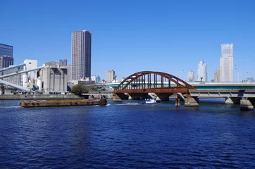 Foto op Plexiglas 廃墟の鉄橋と牽引船 © ほじん